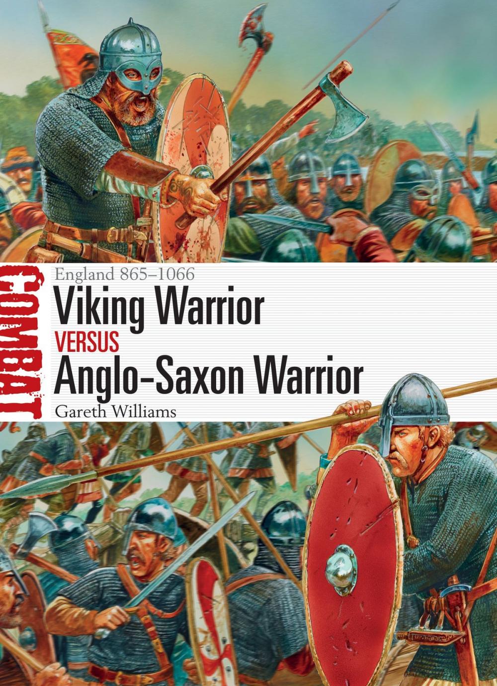 Big bigCover of Viking Warrior vs Anglo-Saxon Warrior