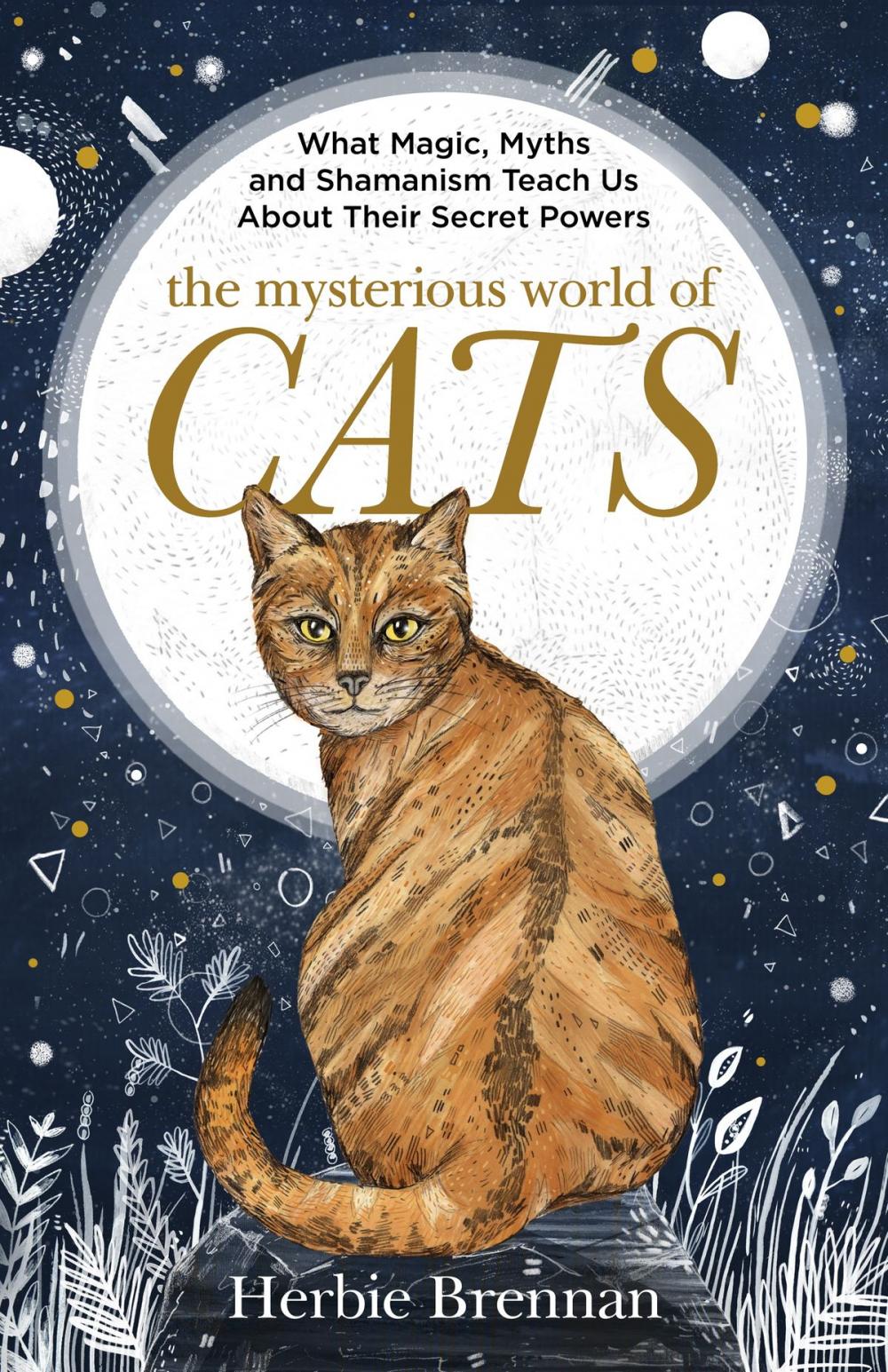 Big bigCover of The Mysterious World of Cats