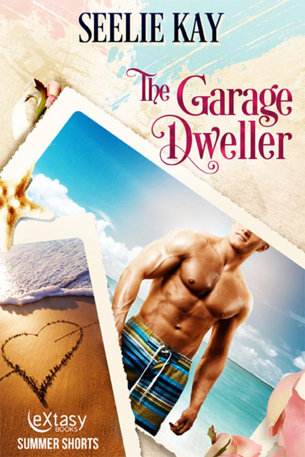 Big bigCover of The Garage Dweller