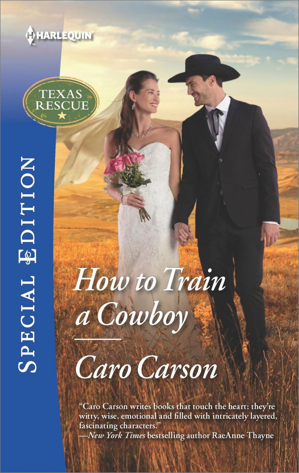 Big bigCover of How to Train a Cowboy