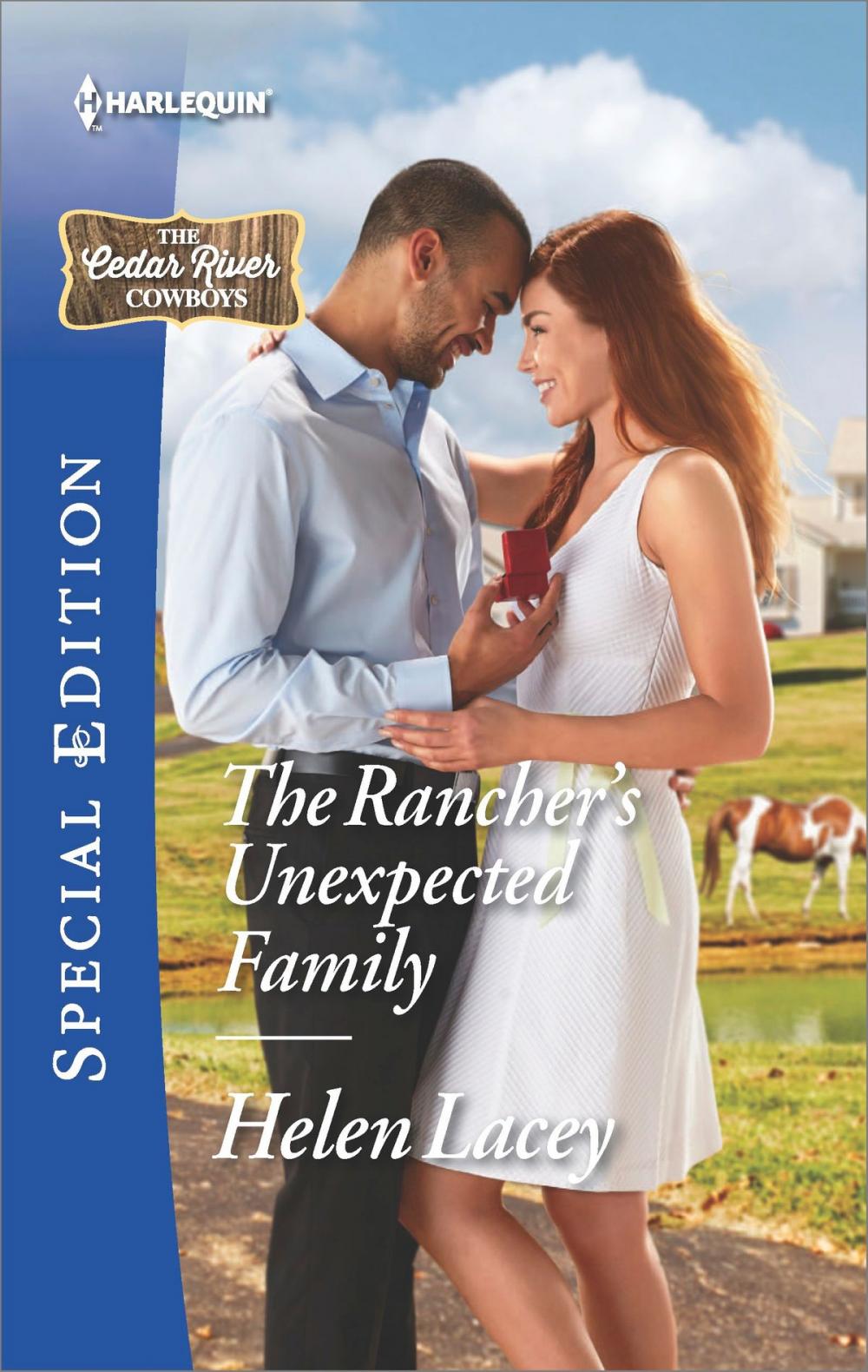 Big bigCover of The Rancher's Unexpected Family