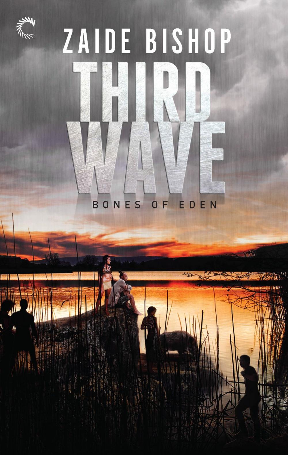 Big bigCover of Third Wave