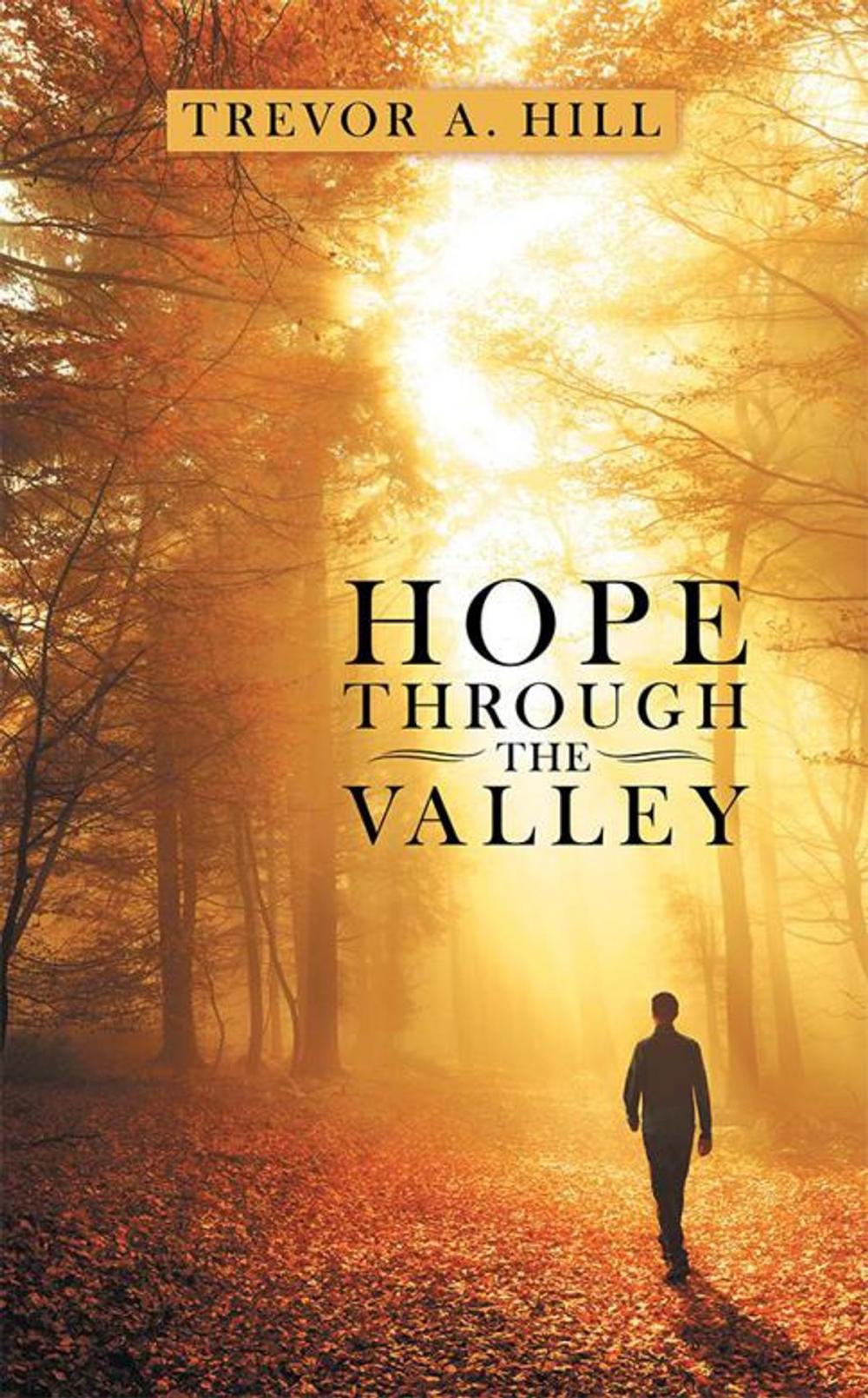 Big bigCover of Hope Through the Valley