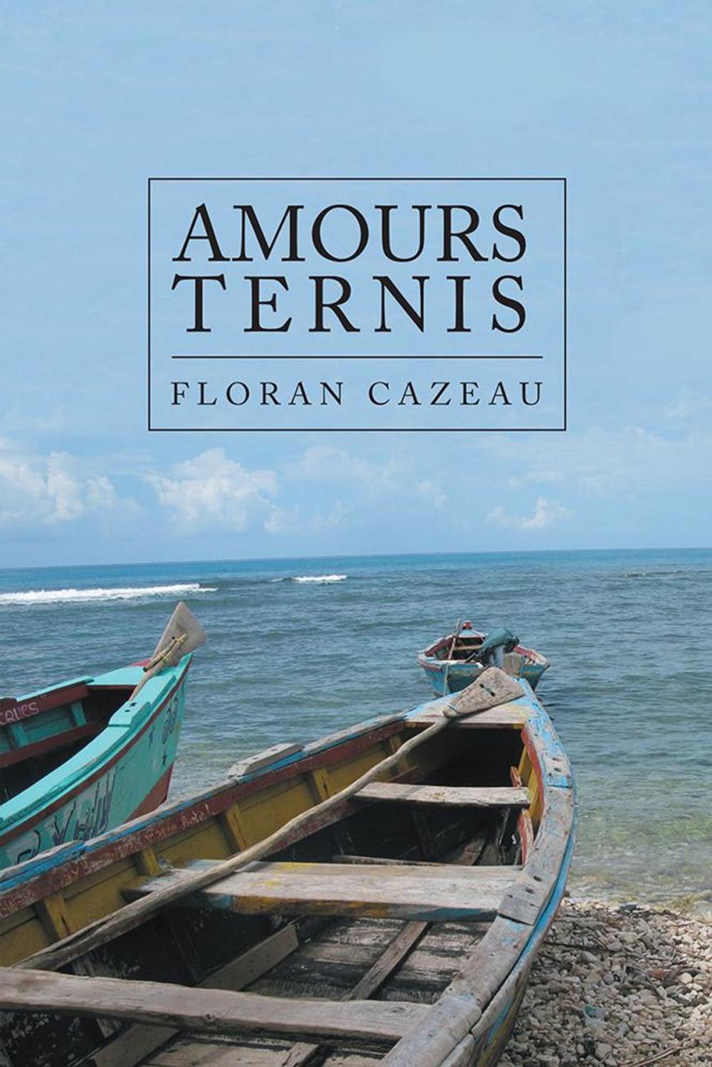 Big bigCover of Amours Ternis