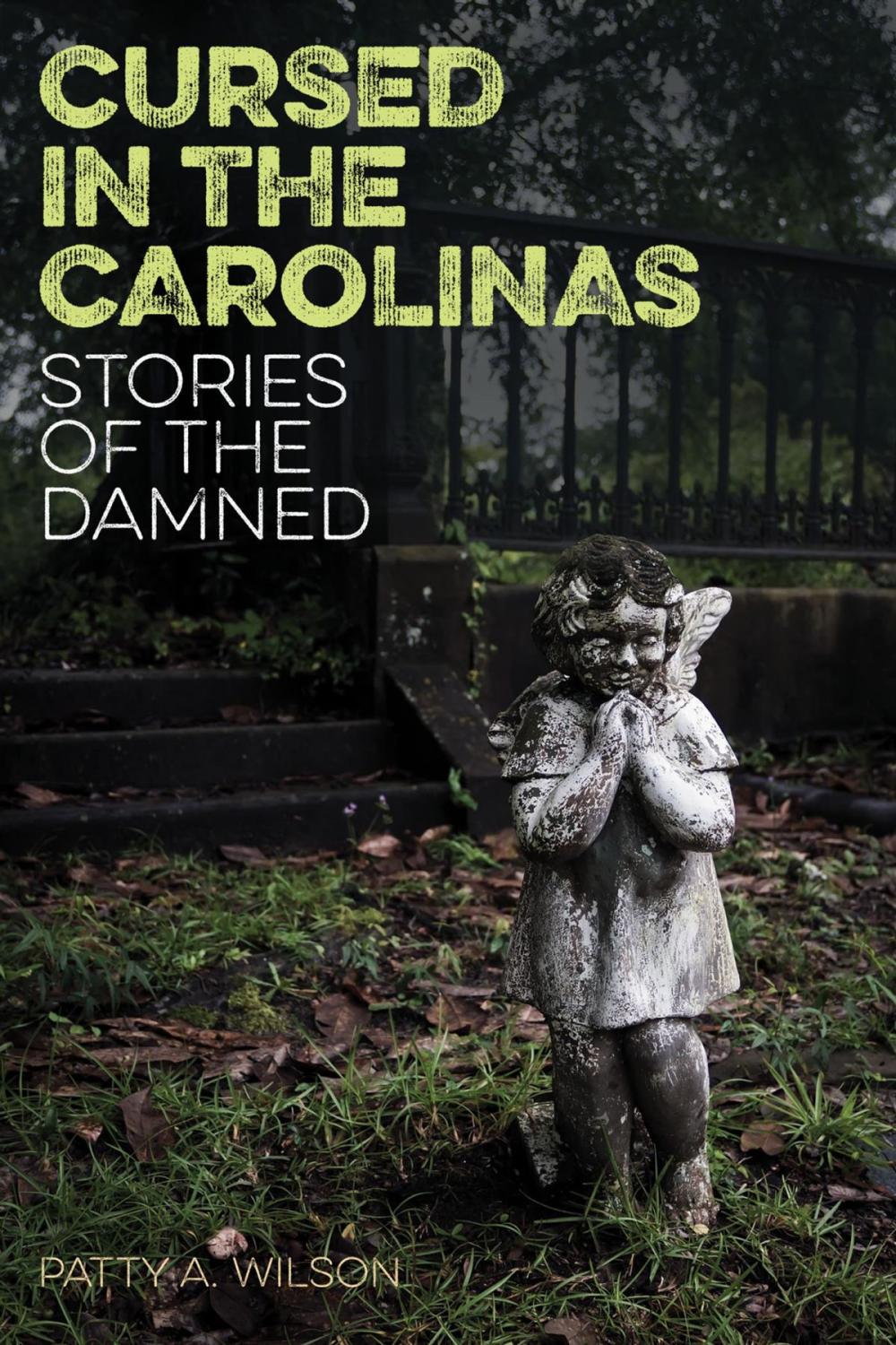 Big bigCover of Cursed in the Carolinas