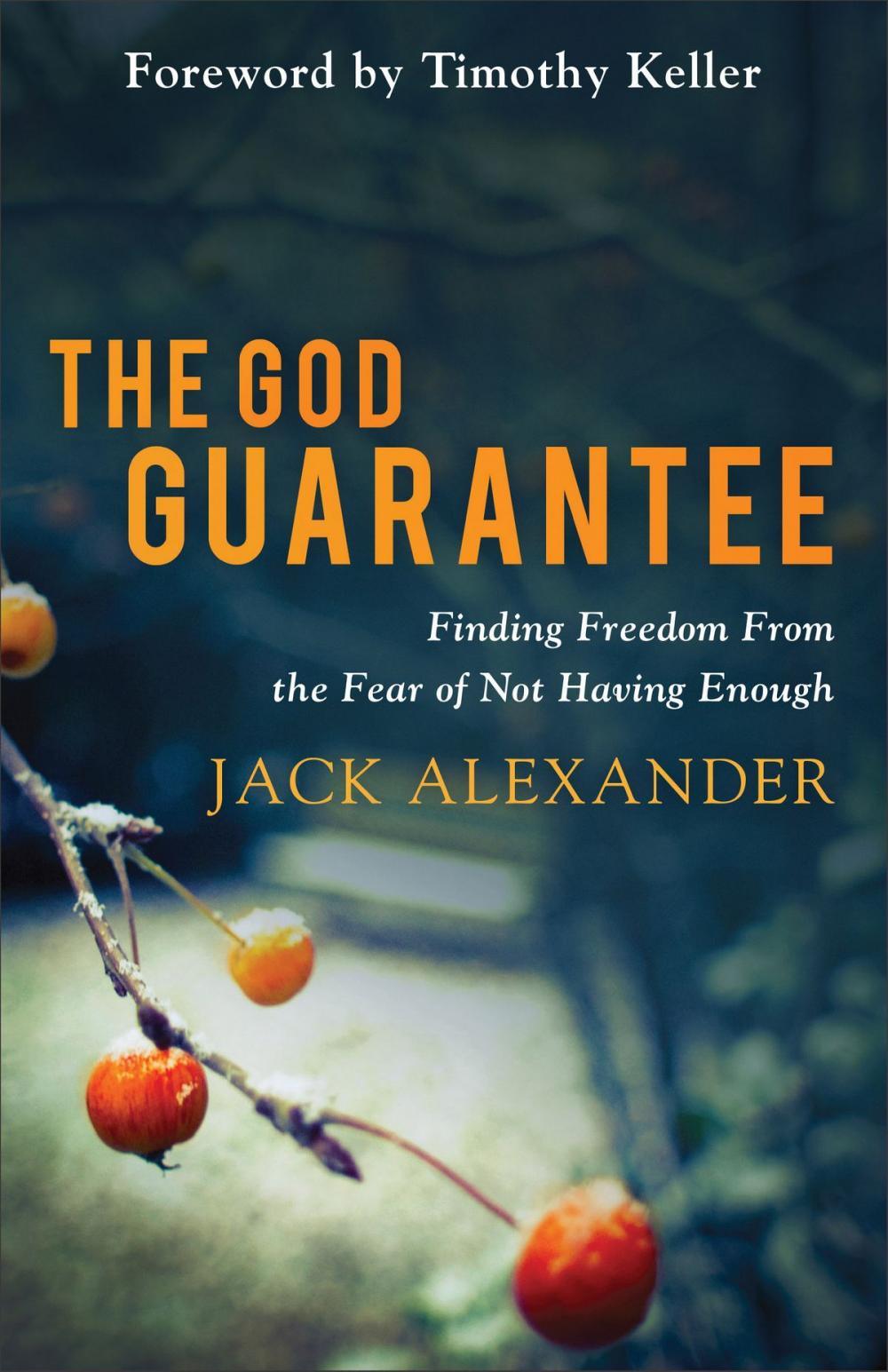 Big bigCover of The God Guarantee