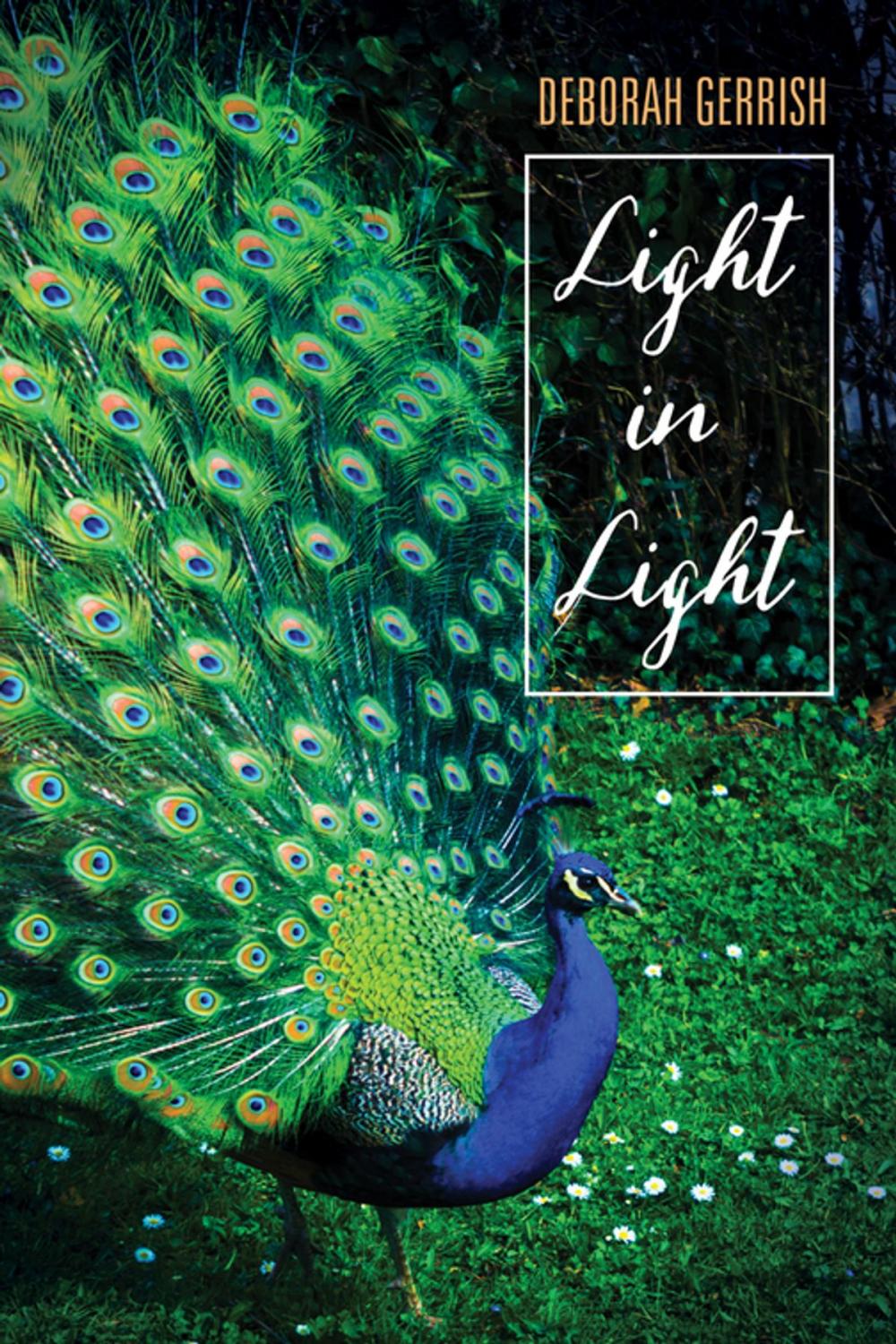 Big bigCover of Light in Light