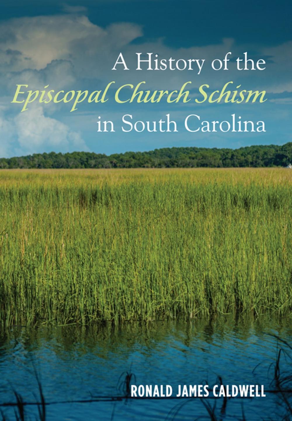 Big bigCover of A History of the Episcopal Church Schism in South Carolina