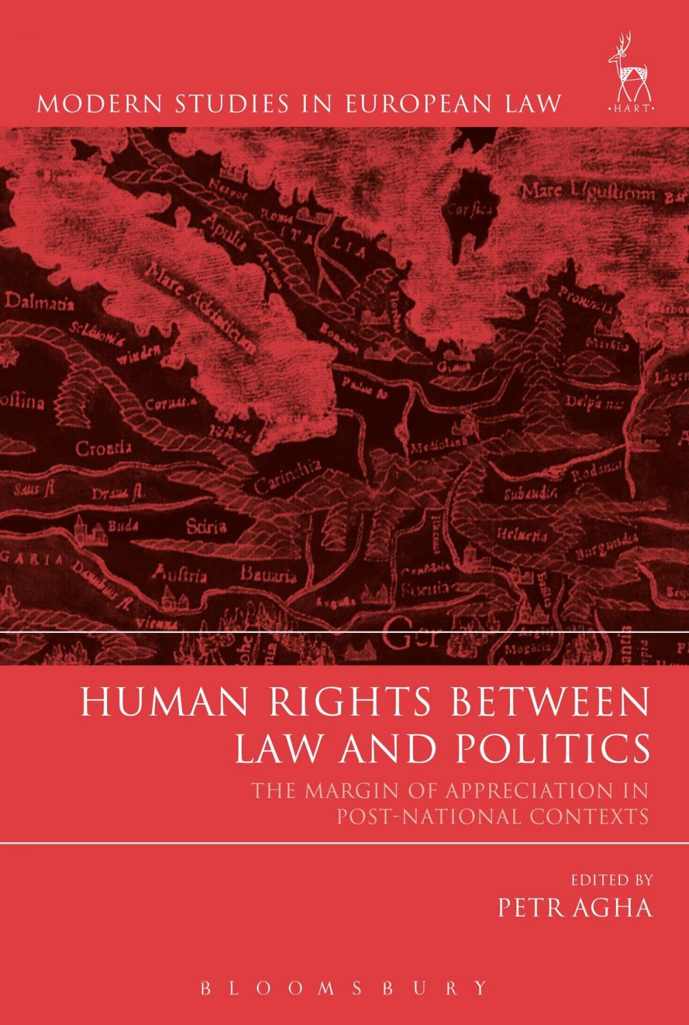 Big bigCover of Human Rights Between Law and Politics