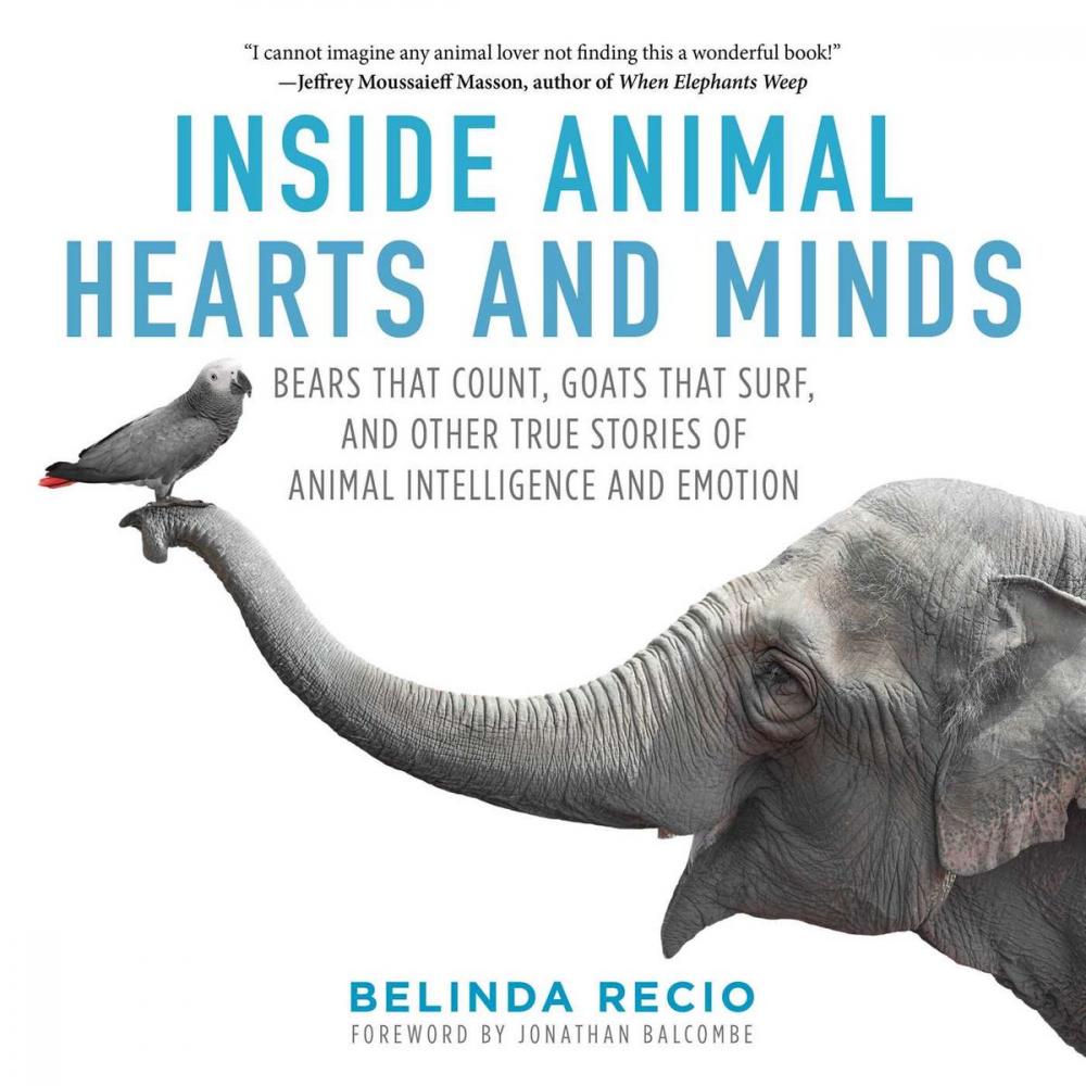 Big bigCover of Inside Animal Hearts and Minds