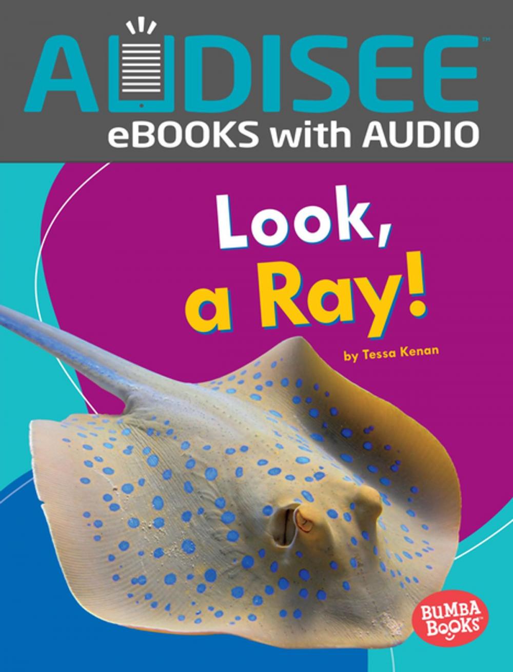 Big bigCover of Look, a Ray!