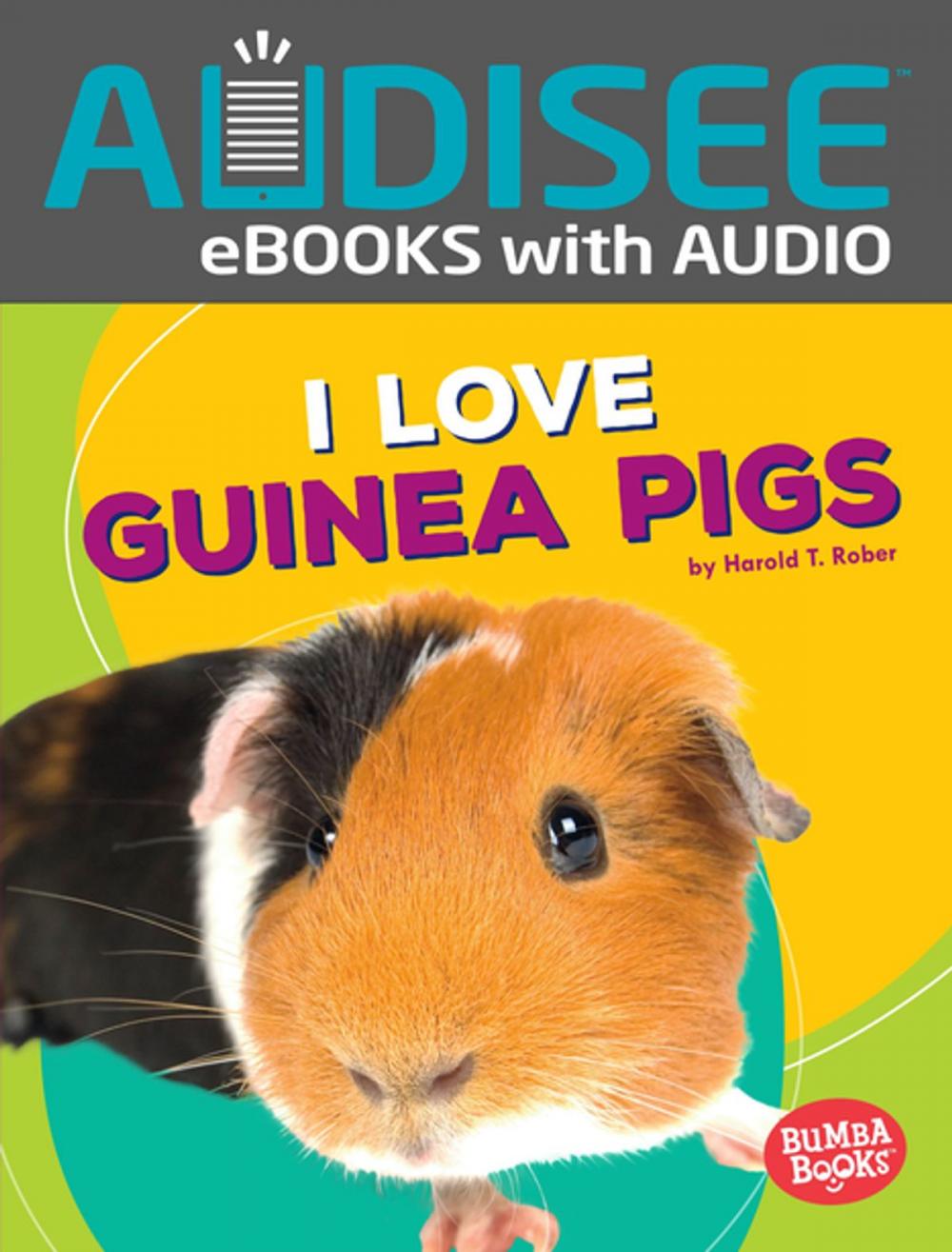 Big bigCover of I Love Guinea Pigs