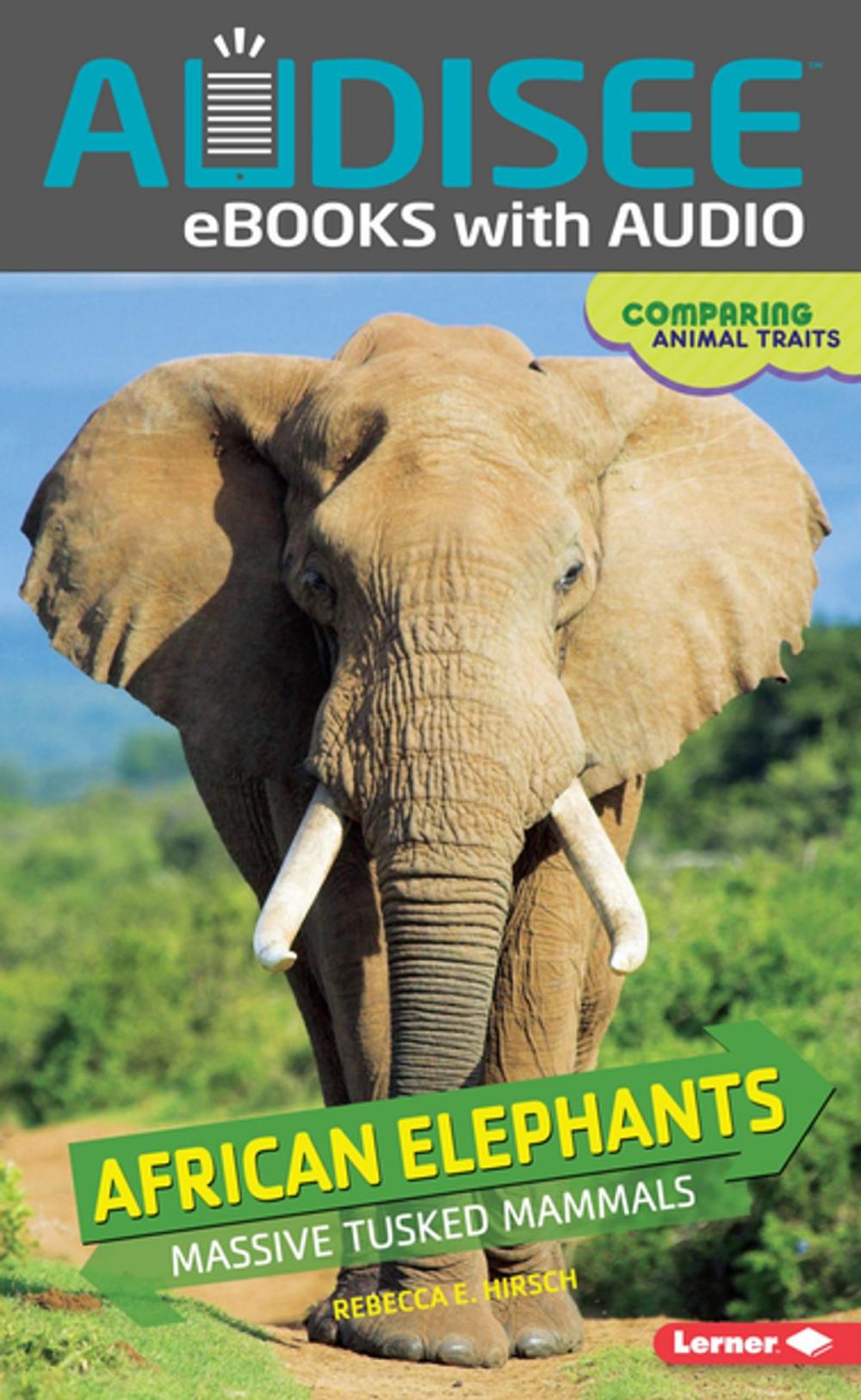 Big bigCover of African Elephants