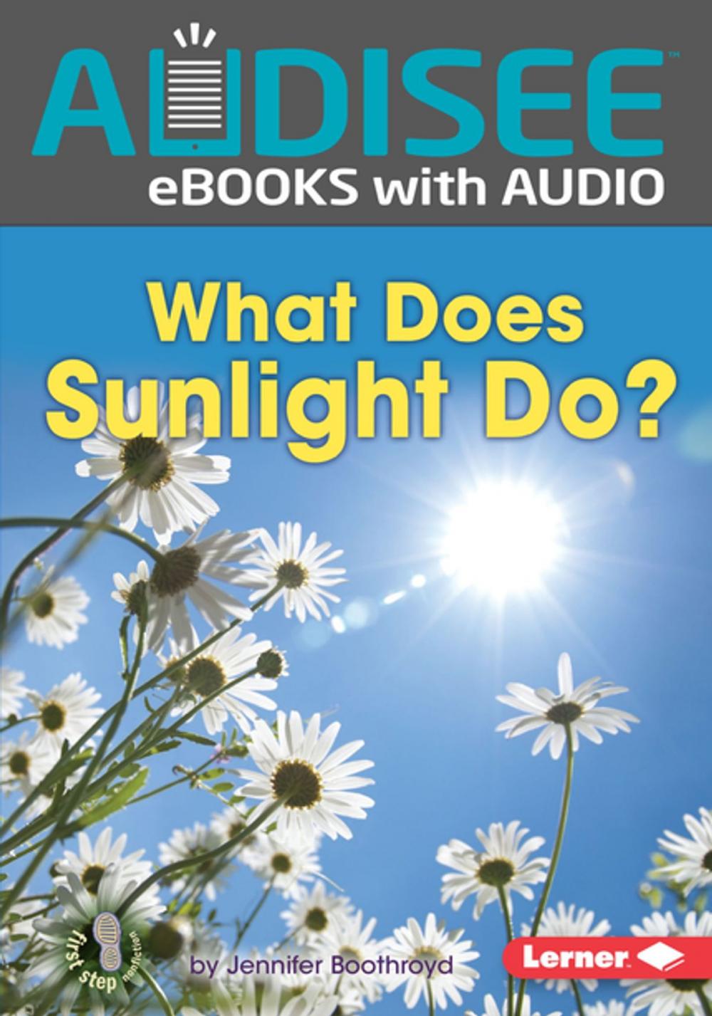 Big bigCover of What Does Sunlight Do?