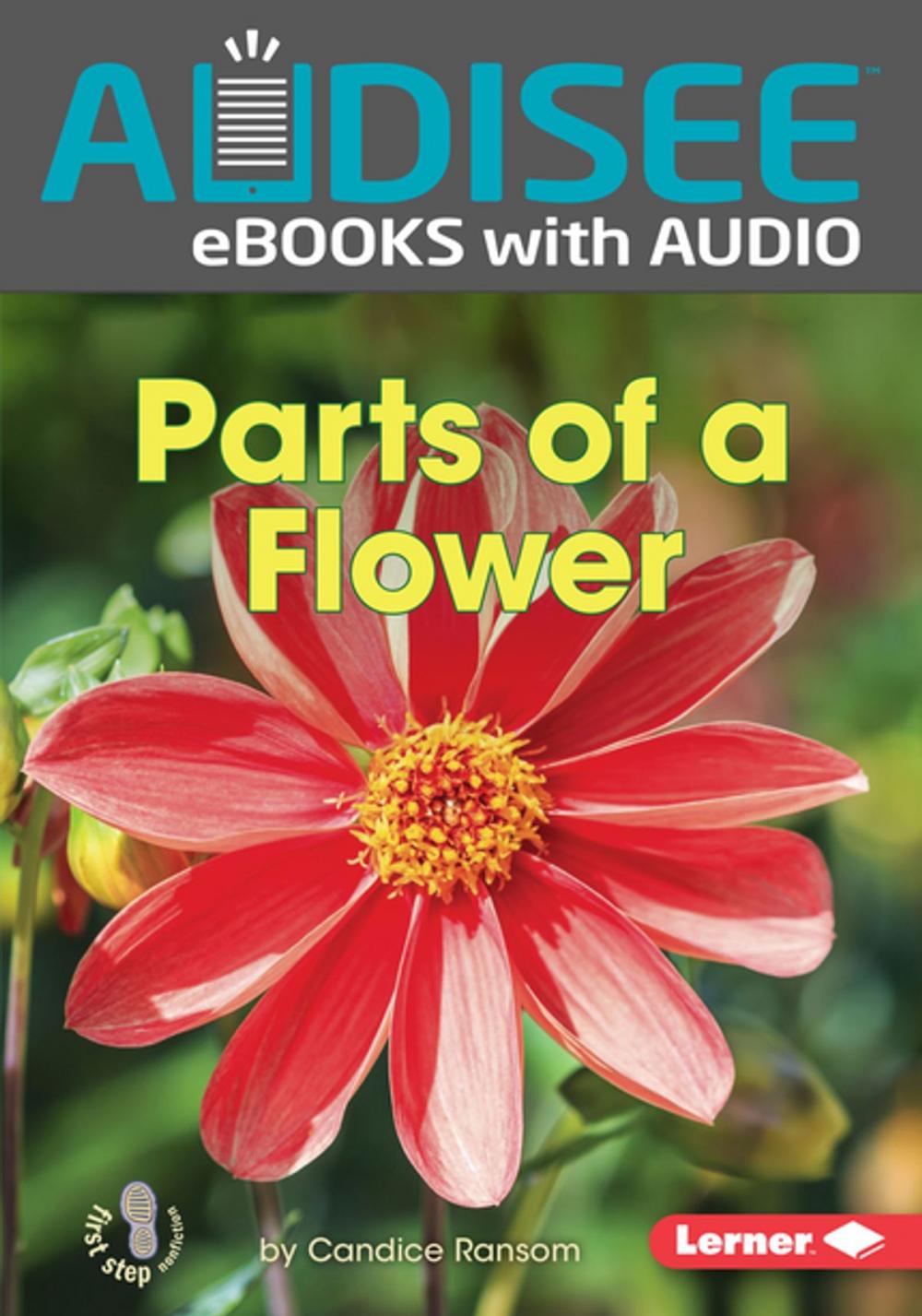 Big bigCover of Parts of a Flower