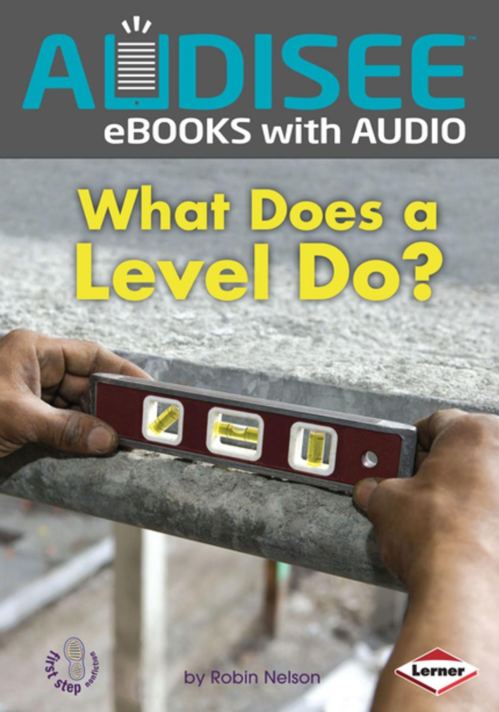 Big bigCover of What Does a Level Do?