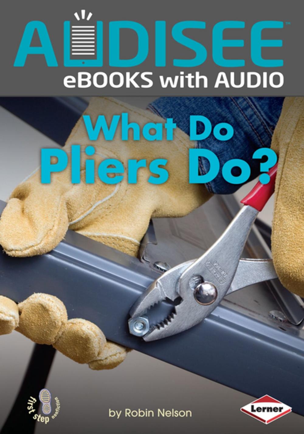 Big bigCover of What Do Pliers Do?