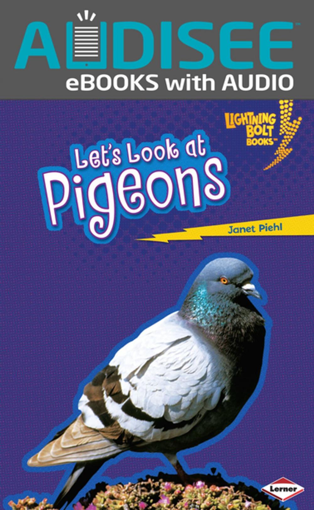 Big bigCover of Let's Look at Pigeons