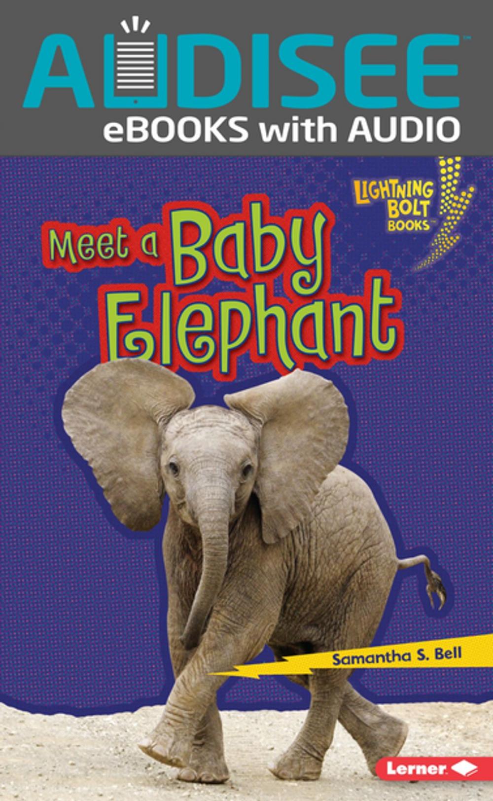 Big bigCover of Meet a Baby Elephant