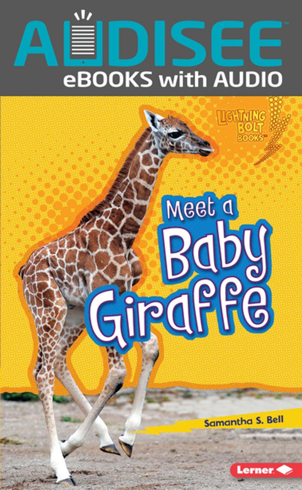 Big bigCover of Meet a Baby Giraffe