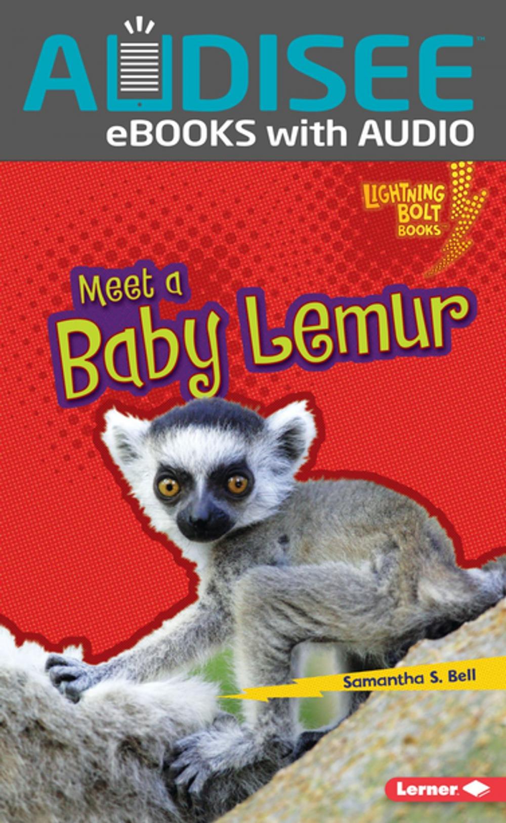 Big bigCover of Meet a Baby Lemur