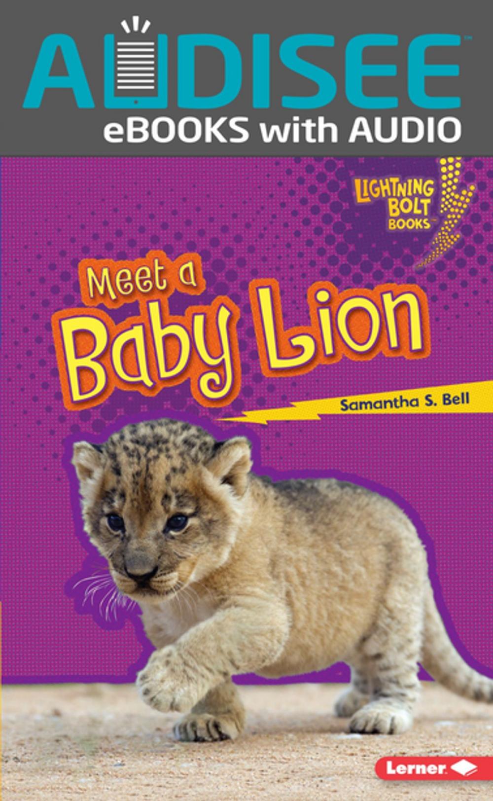 Big bigCover of Meet a Baby Lion