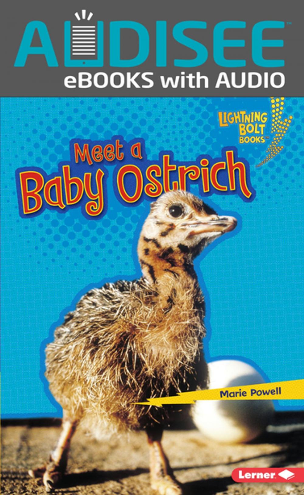 Big bigCover of Meet a Baby Ostrich