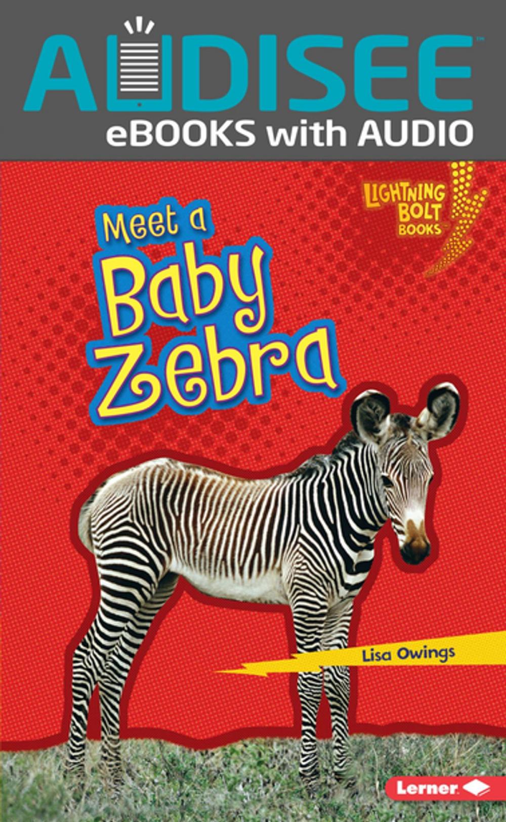 Big bigCover of Meet a Baby Zebra