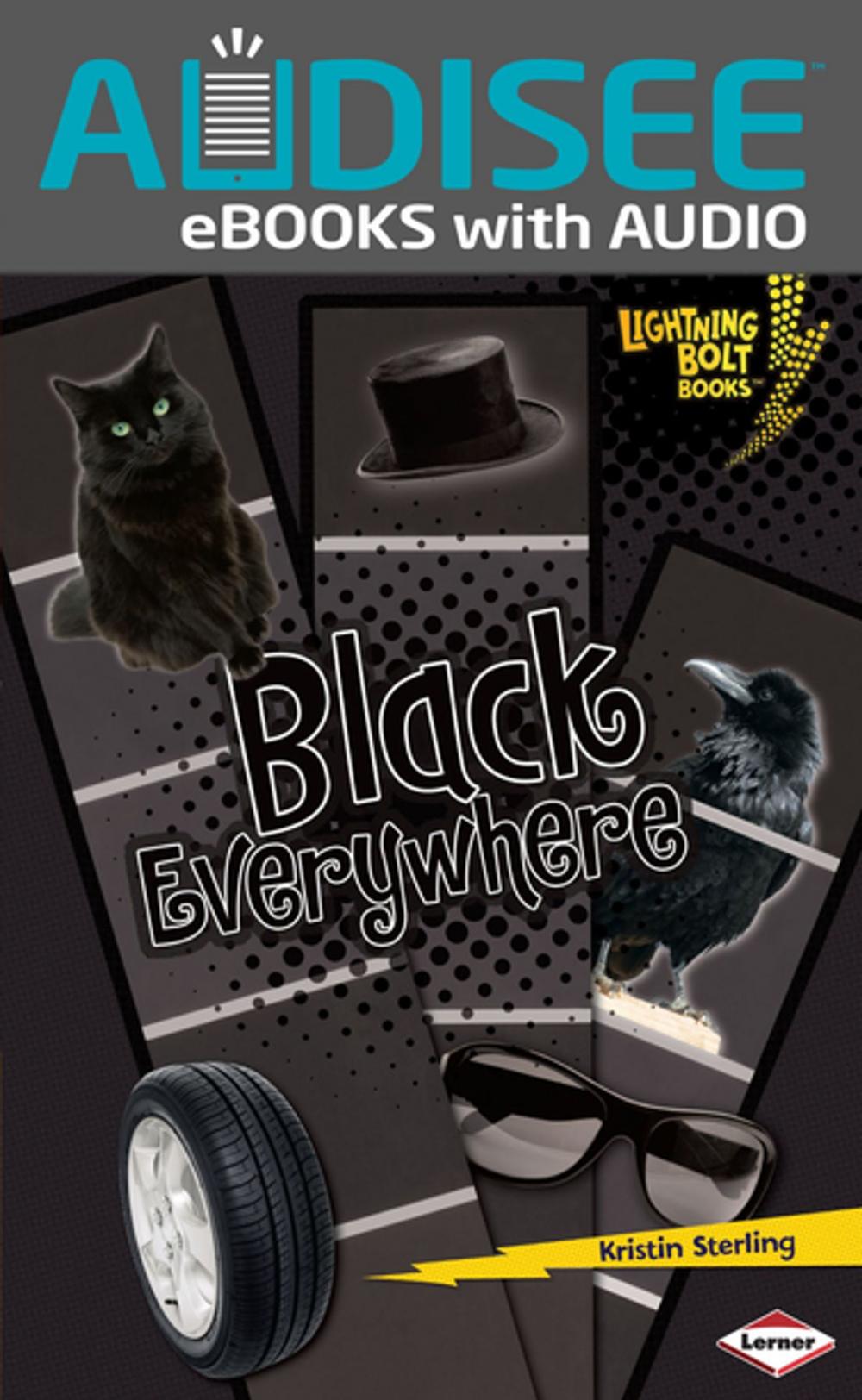 Big bigCover of Black Everywhere