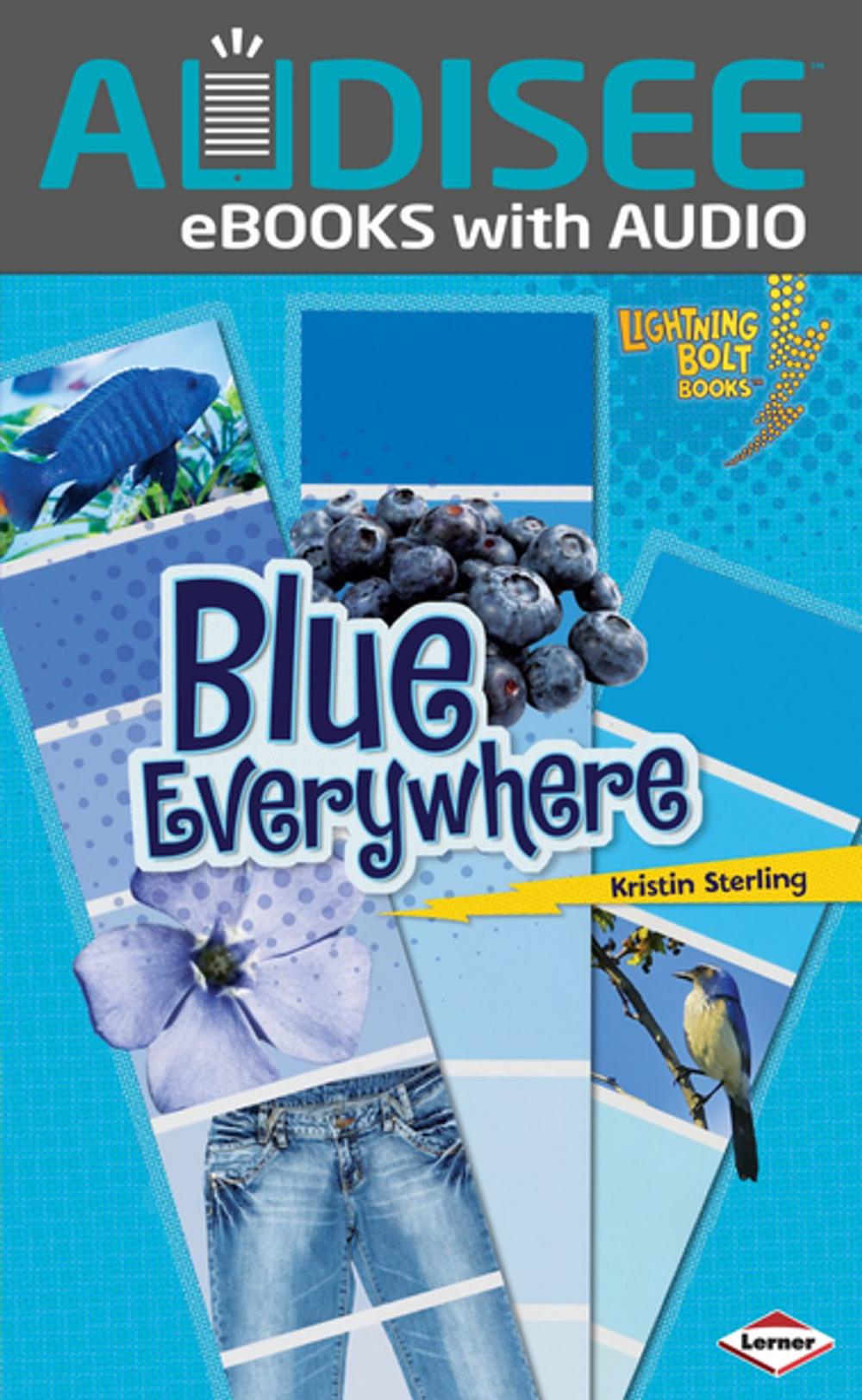 Big bigCover of Blue Everywhere