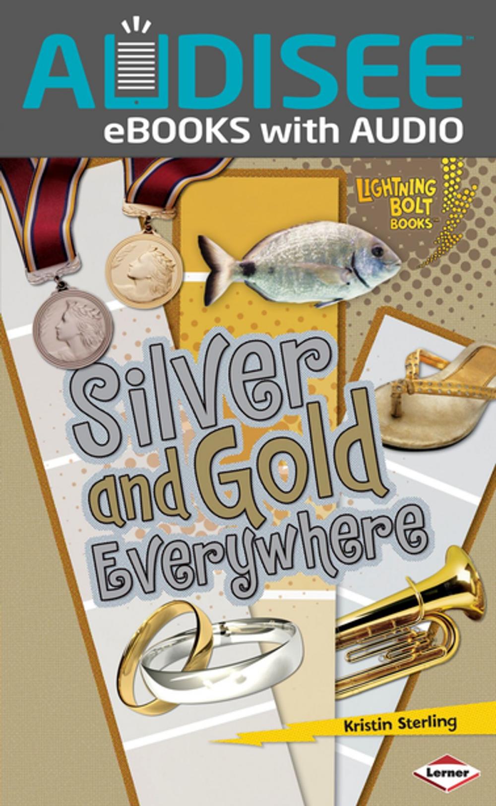 Big bigCover of Silver and Gold Everywhere