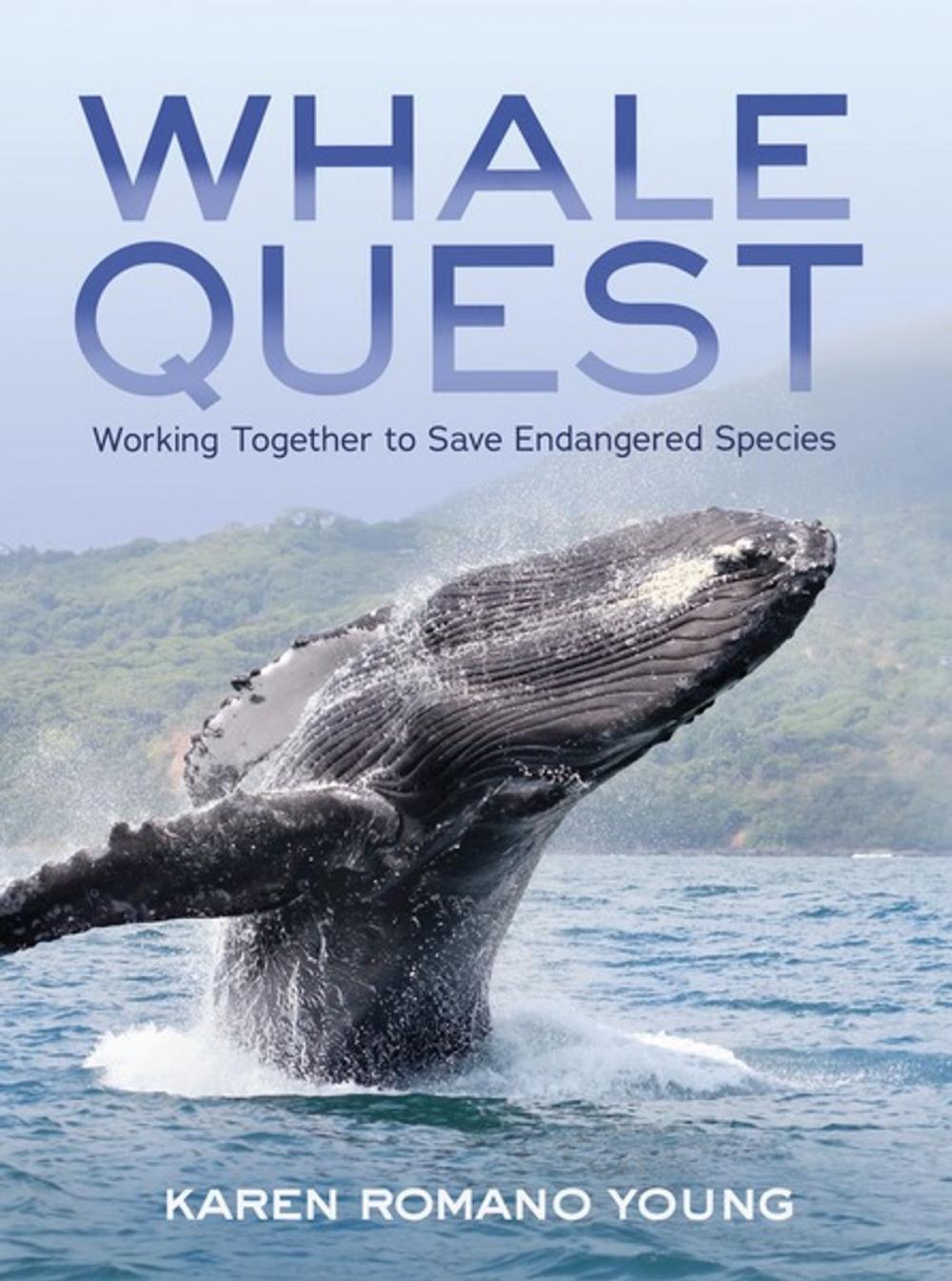 Big bigCover of Whale Quest