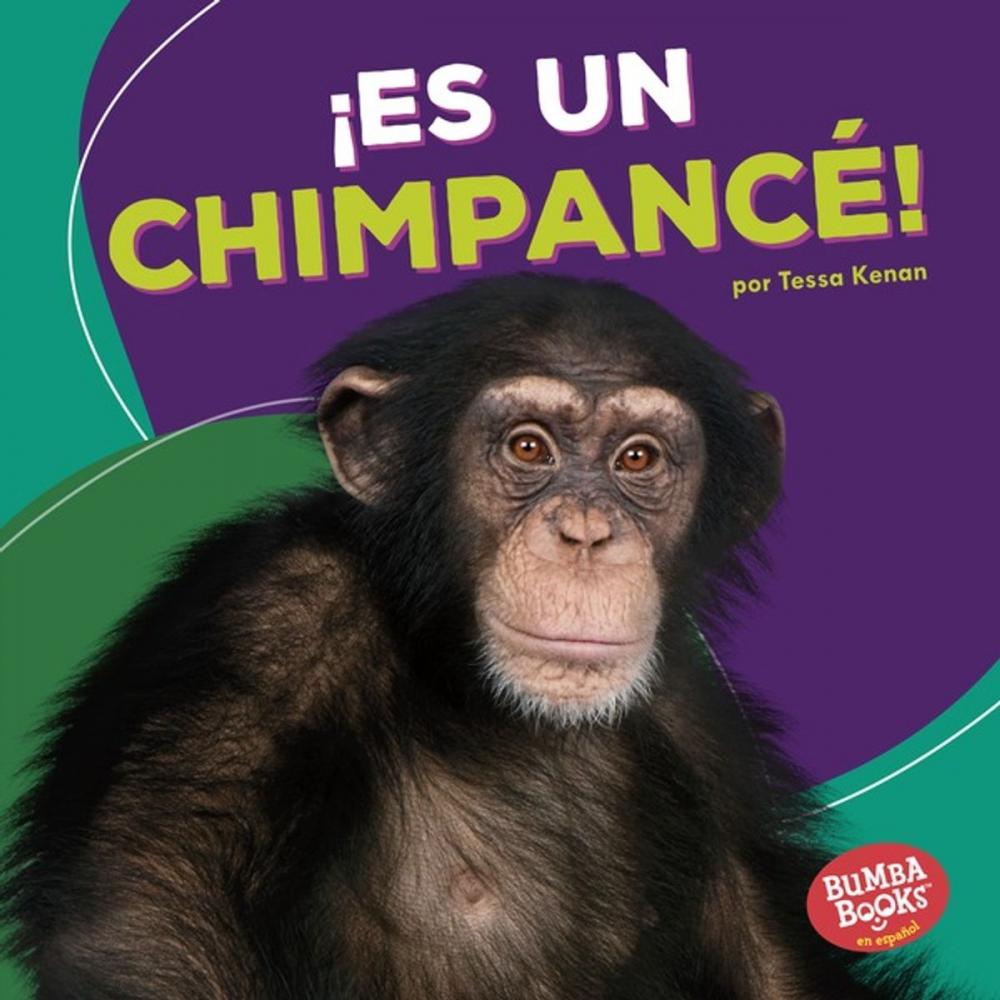 Big bigCover of ¡Es un chimpancé! (It's a Chimpanzee!)