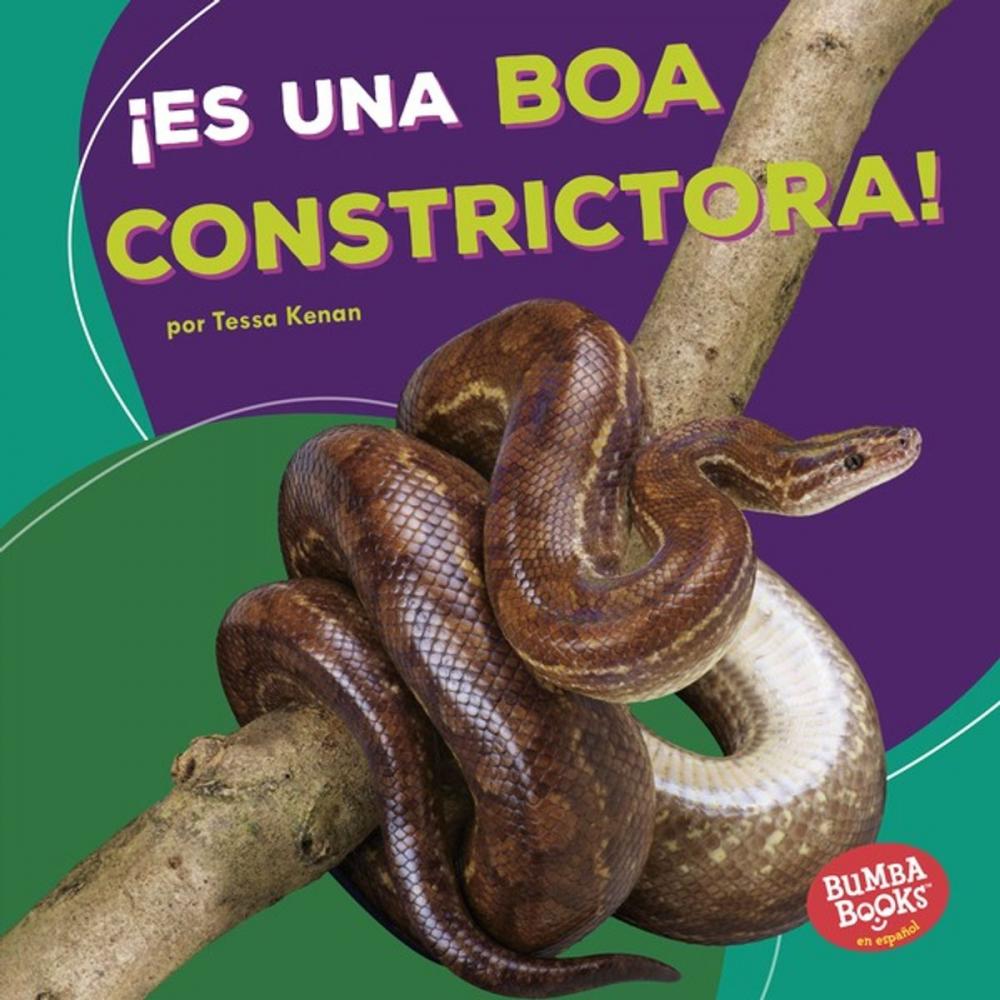 Big bigCover of ¡Es una boa constrictora! (It's a Boa Constrictor!)