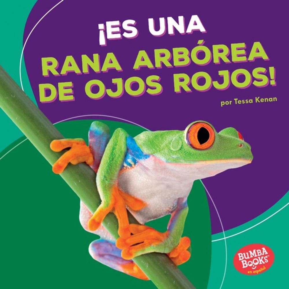 Big bigCover of ¡Es una rana arbórea de ojos rojos! (It's a Red-Eyed Tree Frog!)