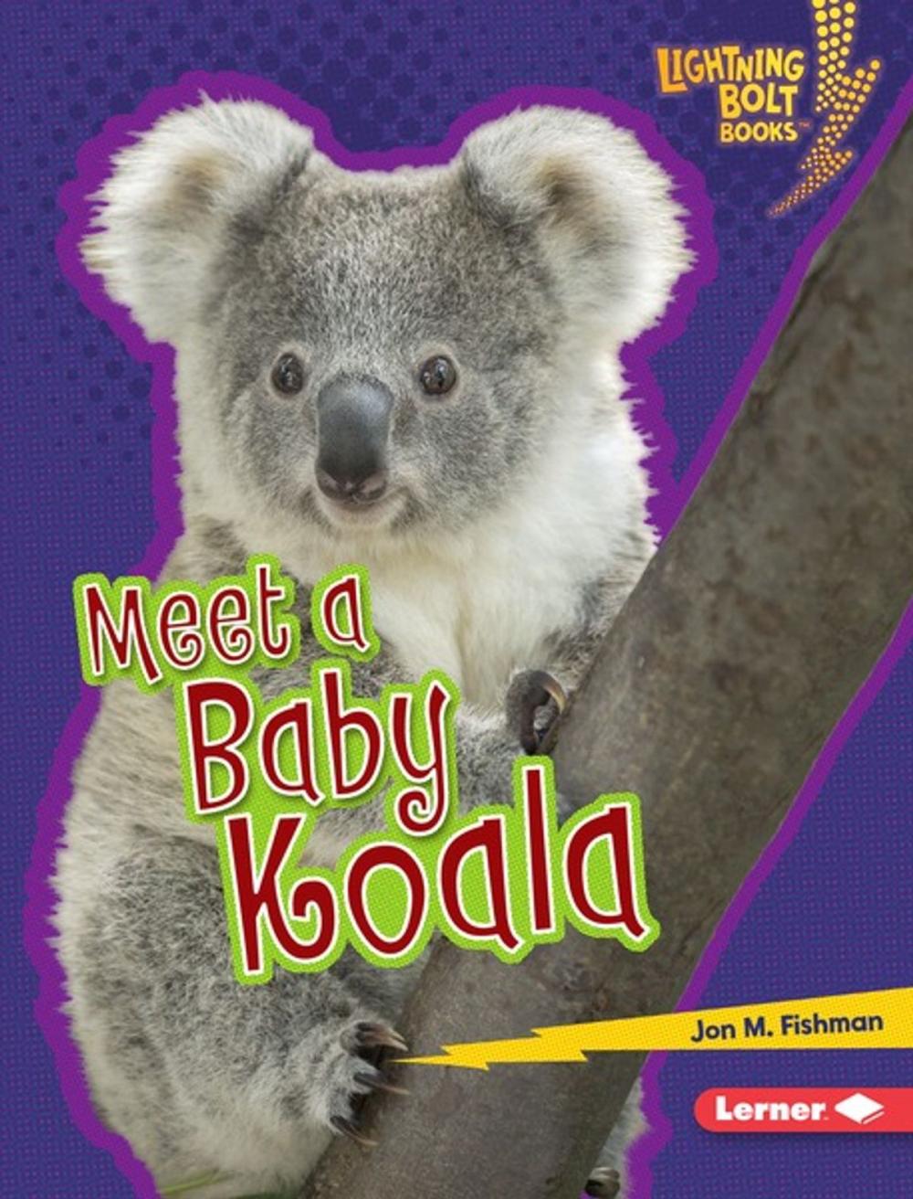 Big bigCover of Meet a Baby Koala