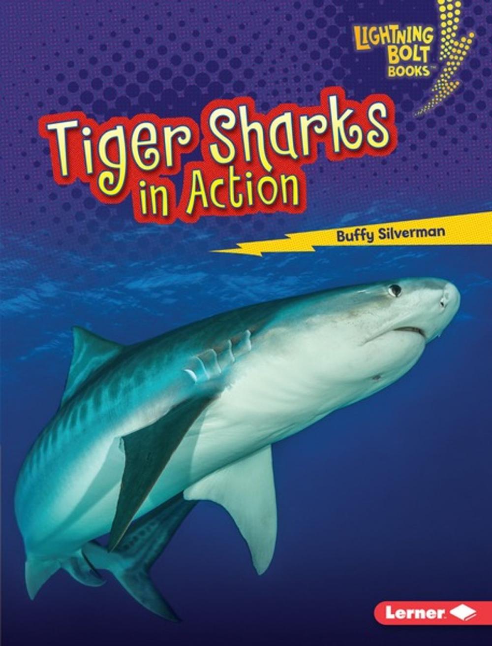 Big bigCover of Tiger Sharks in Action