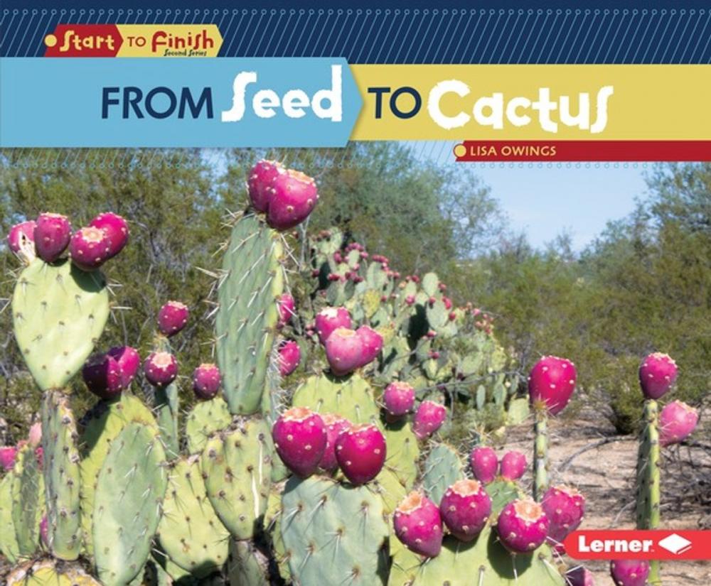 Big bigCover of From Seed to Cactus