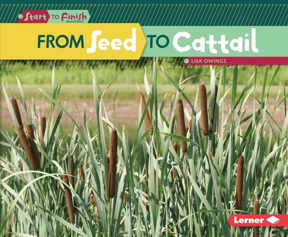 Big bigCover of From Seed to Cattail