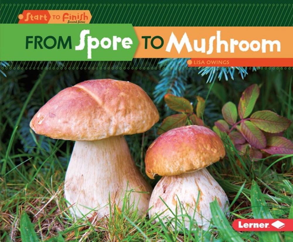 Big bigCover of From Spore to Mushroom