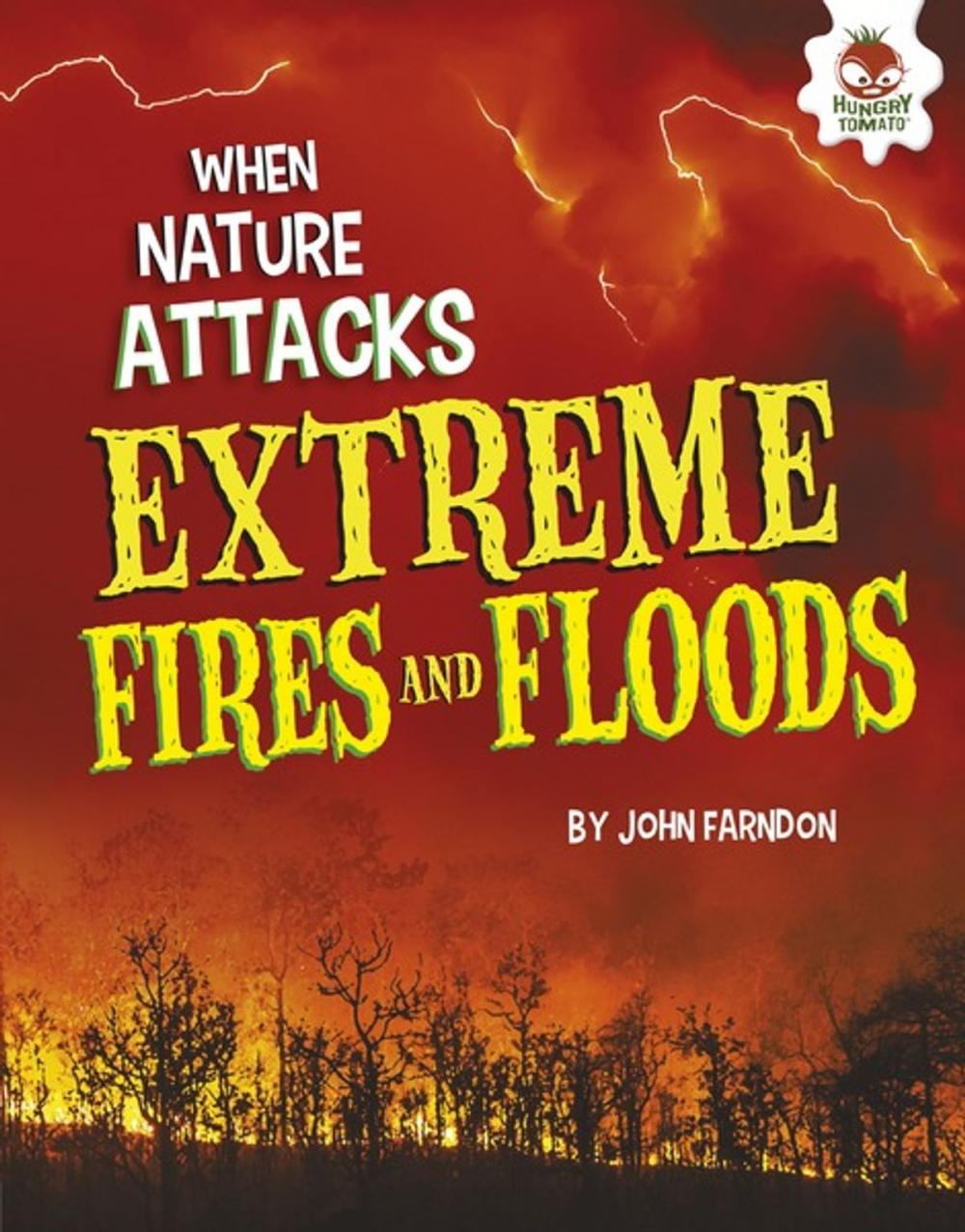 Big bigCover of Extreme Fires and Floods