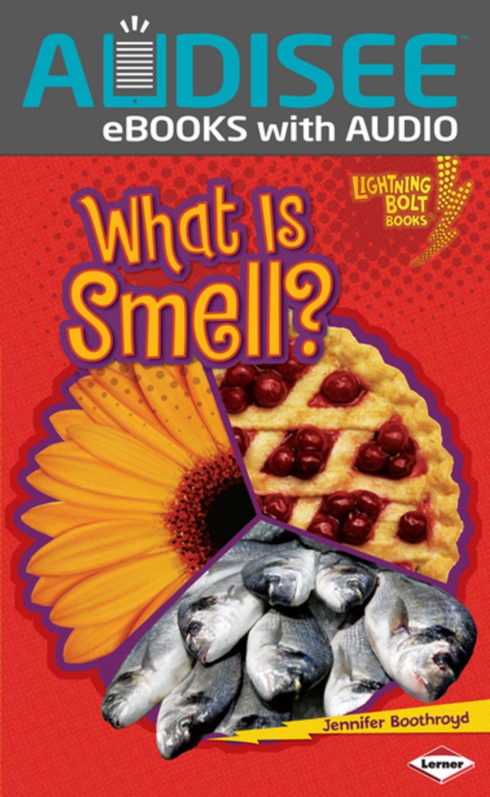 Big bigCover of What Is Smell?