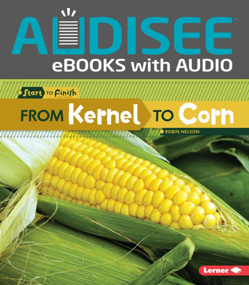 Big bigCover of From Kernel to Corn