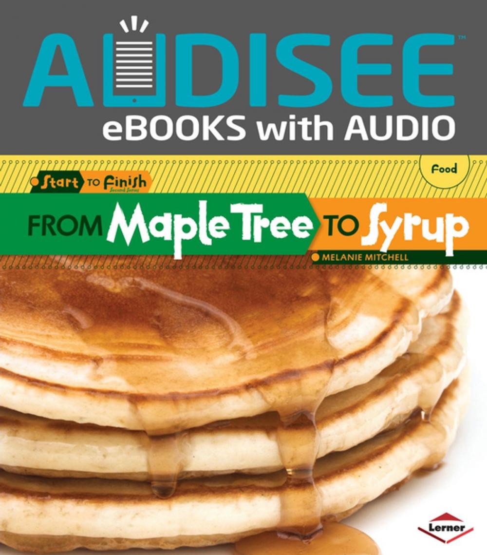 Big bigCover of From Maple Tree to Syrup