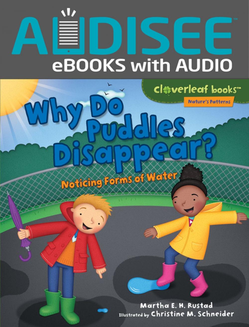 Big bigCover of Why Do Puddles Disappear?