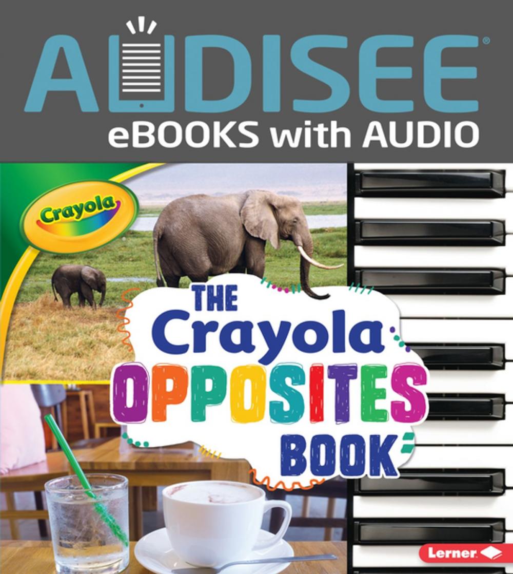 Big bigCover of The Crayola ® Opposites Book