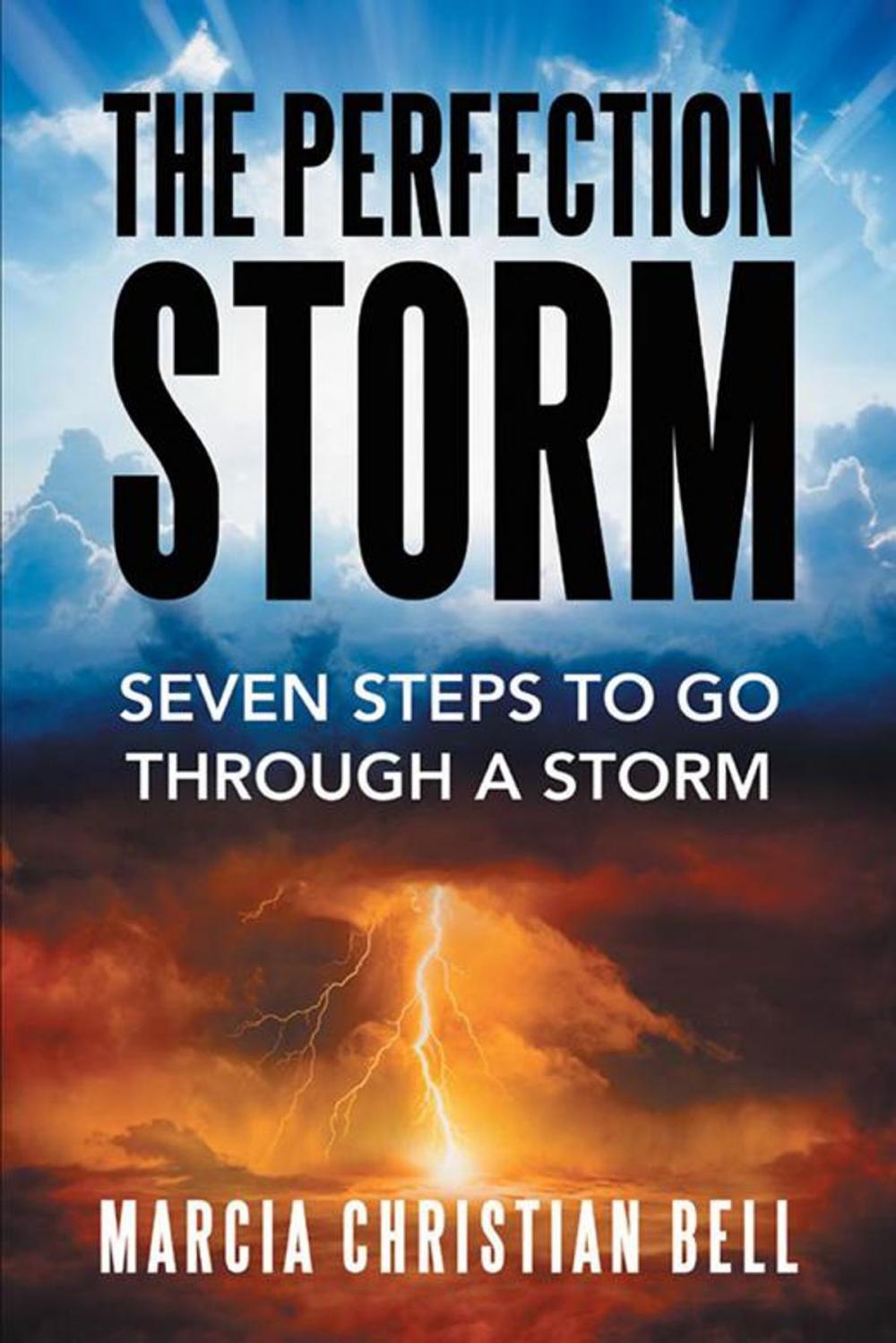 Big bigCover of The Perfection Storm