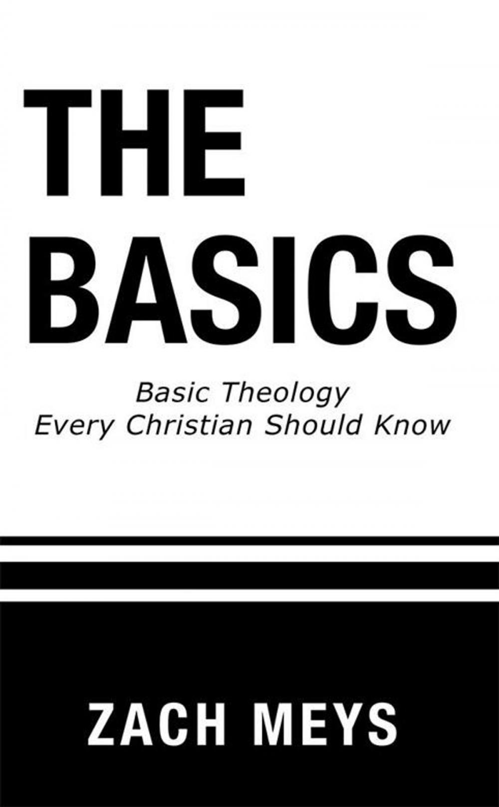 Big bigCover of The Basics