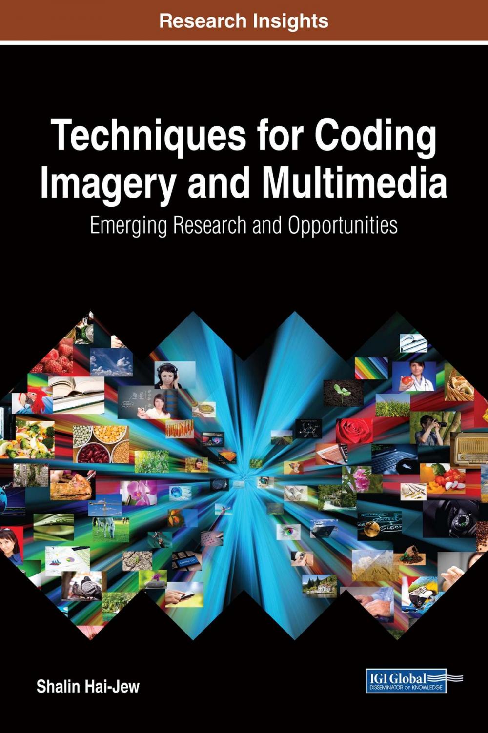 Big bigCover of Techniques for Coding Imagery and Multimedia