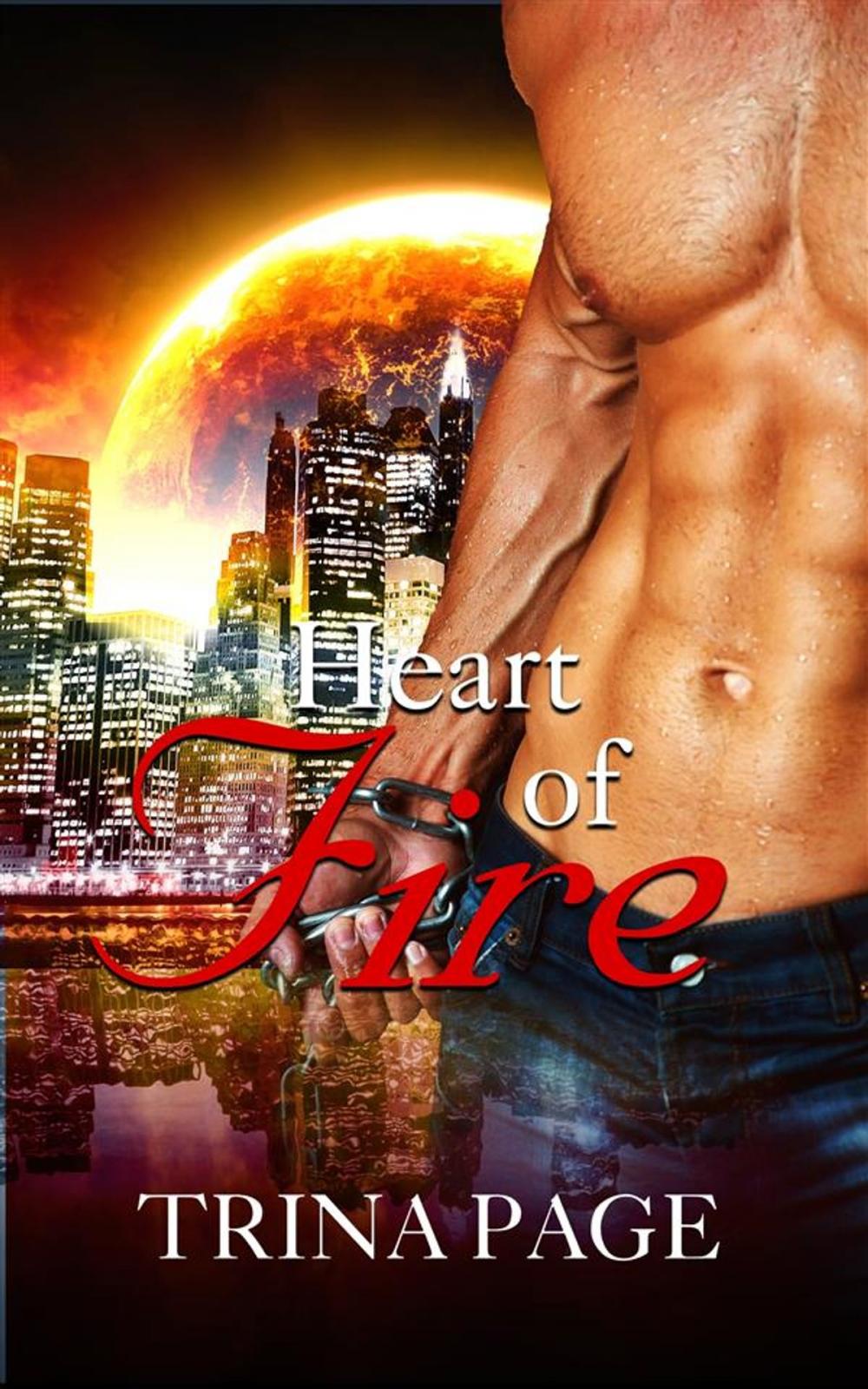 Big bigCover of First Meeting: Heart of Fire Book 1 (Shifter Romance)